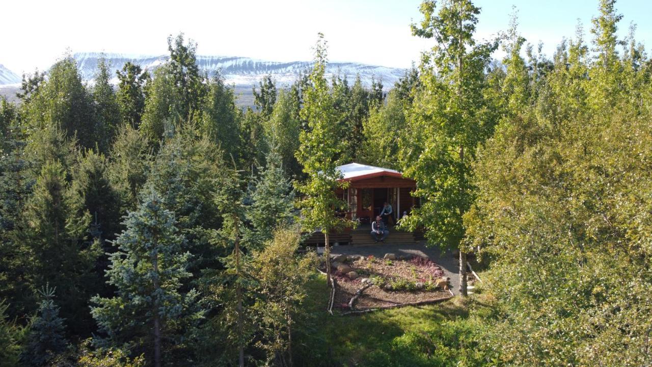 Bakkakot 1 - Cozy Cabins In The Woods Акурейрі Екстер'єр фото