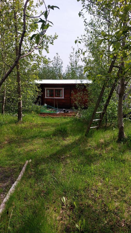 Bakkakot 1 - Cozy Cabins In The Woods Акурейрі Екстер'єр фото